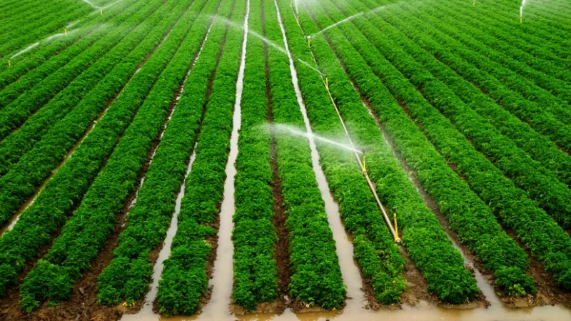 The Advantages of a Proper Water Irrigation System for Farmers