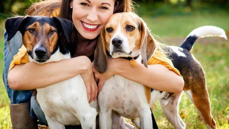Dog Boarding: The Top Advantages Revealed